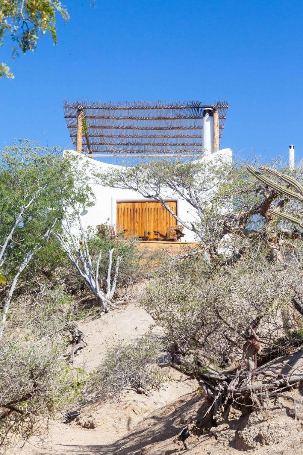 The White Lodge San José del Cabo Dış mekan fotoğraf